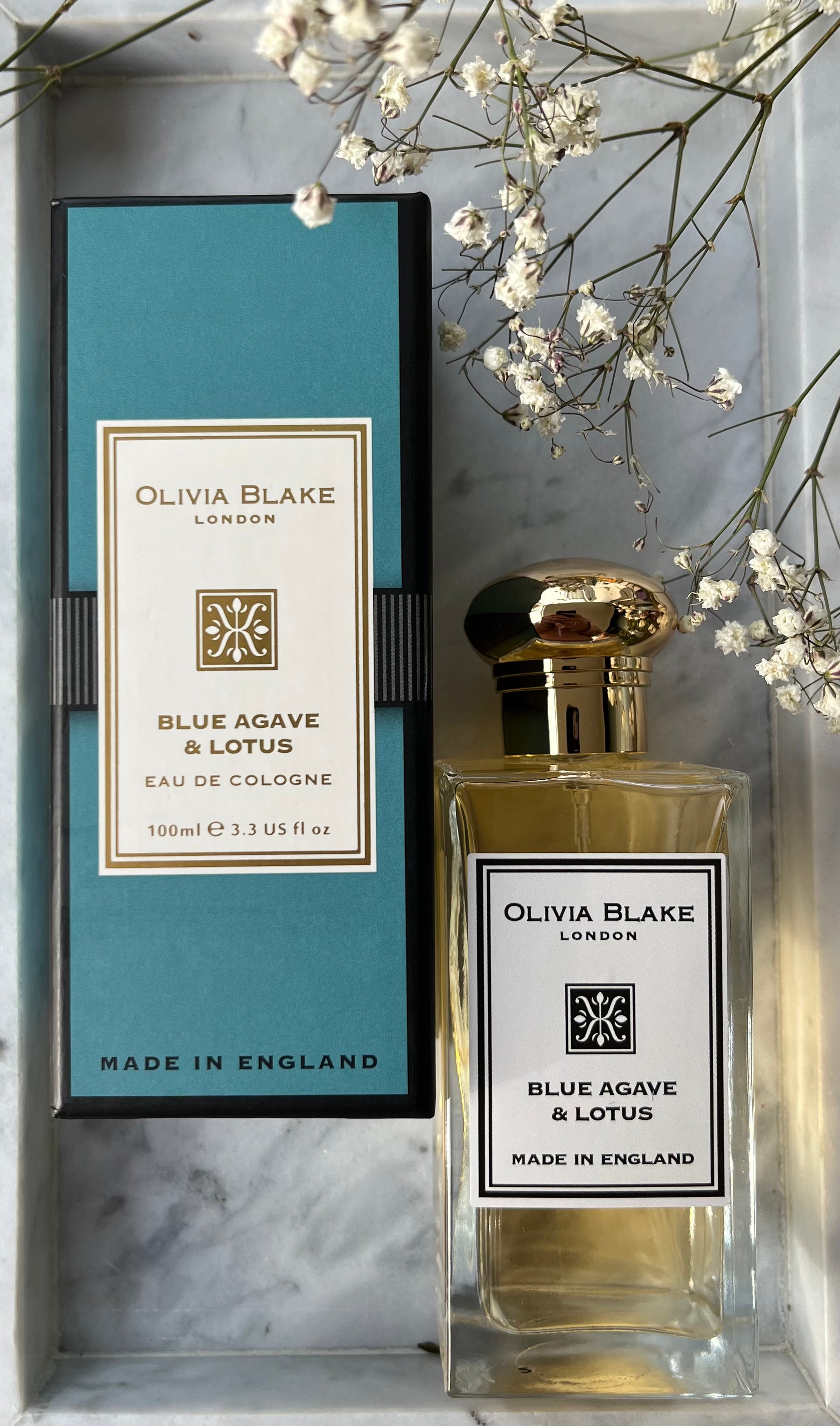 Blue best sale agave perfume